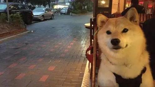 沭阳最新爆料新闻,揭秘当地重大事件背后真相