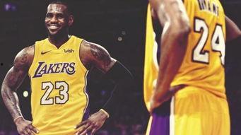 科比最新爆料曼巴,曼巴精神背后的传奇故事